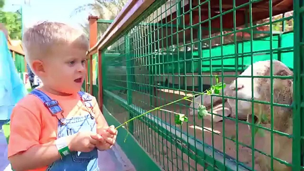 Care of animals