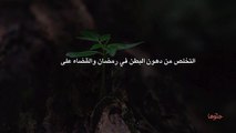 التخلص من دهون البطن في رمضان والقضاء على الكرش