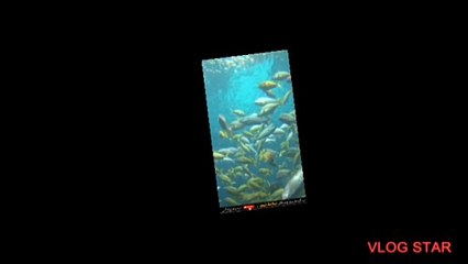 دریائے فرات اور قیامت کی نشانیاں