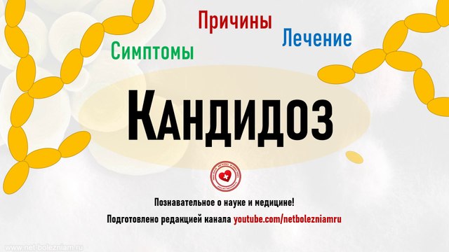 Что такое микоз? Причины, симптомы и лечение кандидоза
