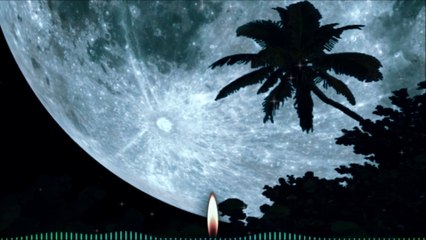 Robert Space  -  The Full Moon