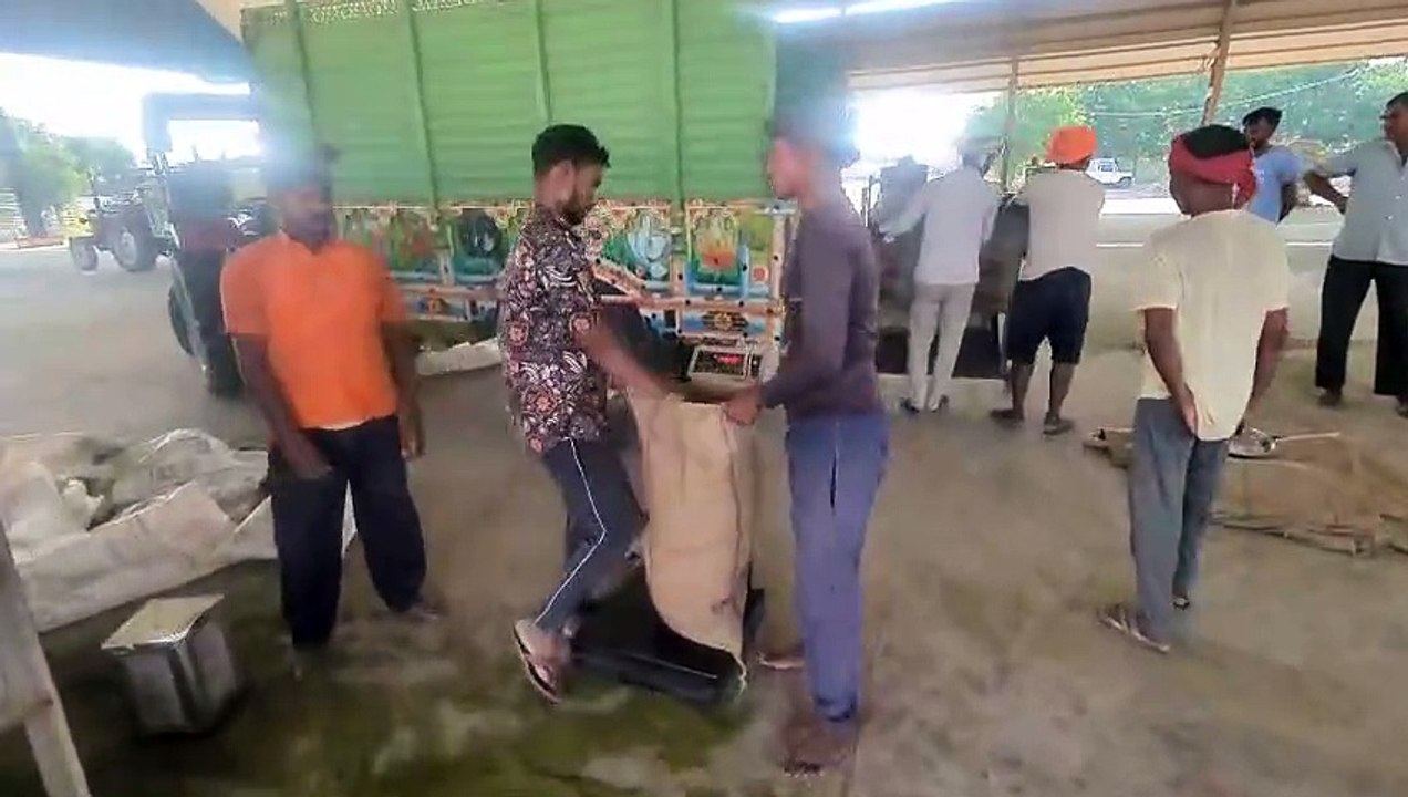 समर्थन मूल्य पर मूंग खरीद के लिए अब सौ-सौ किसानों को बुलाया जाएगा