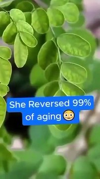 Moringa Magic Resources - Weight Loss
