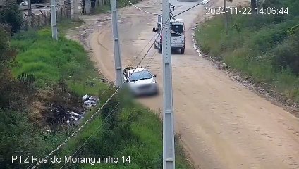 Homem é flagrado abandonando dez cães em interior do Paraná