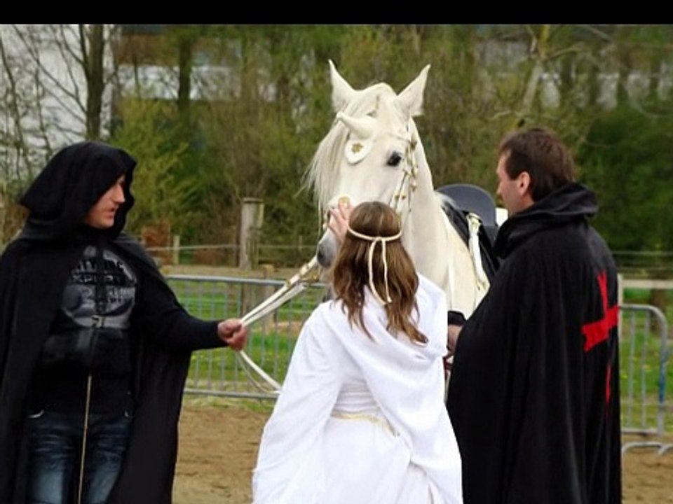Licorne