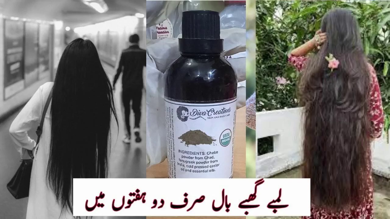 Secret of Chébé Hair Oil: Say Goodbye to Hair Fall and Unlock Long, Thick, and Shiny Hair Naturally