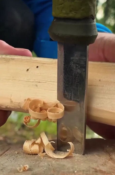 SEUL dans les bois : Découvrez les ASTUCE de survie de cette FILLES 🌲