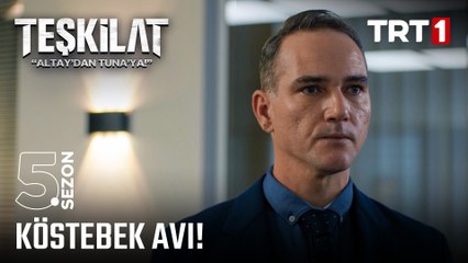 Köstebek avı başladı! | #Teşkilat 121. Bölüm