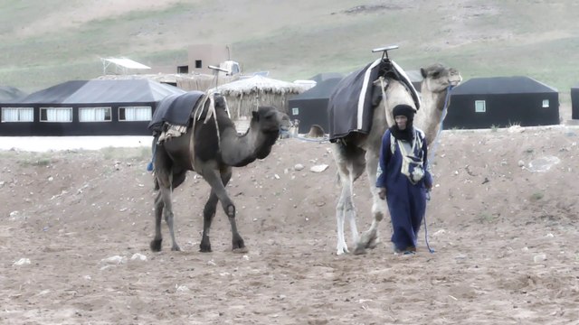 JORDAN DIOW Maroc 2024, Festival international du Film documentaire de Zagora, Interview Great Lakes réalisée par le talentueux journaliste marocain Tlaglou Alikhbarya (تلاكلو الإخبارية) - AFDOZ