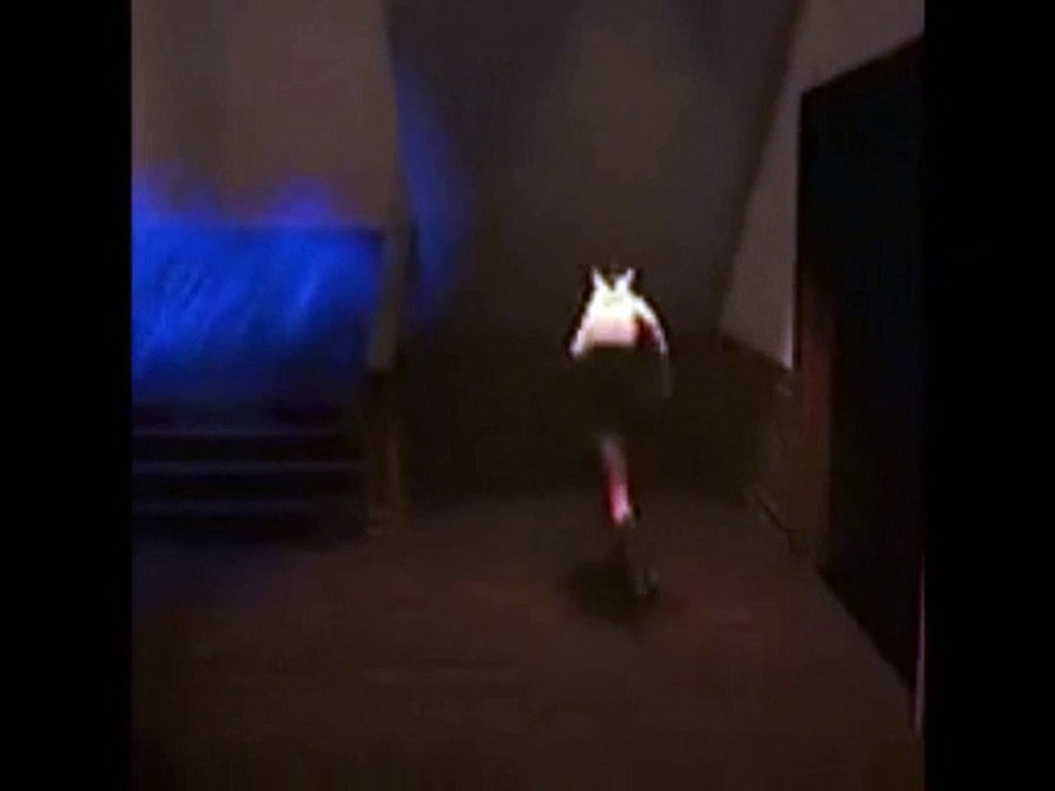 Risu Demo