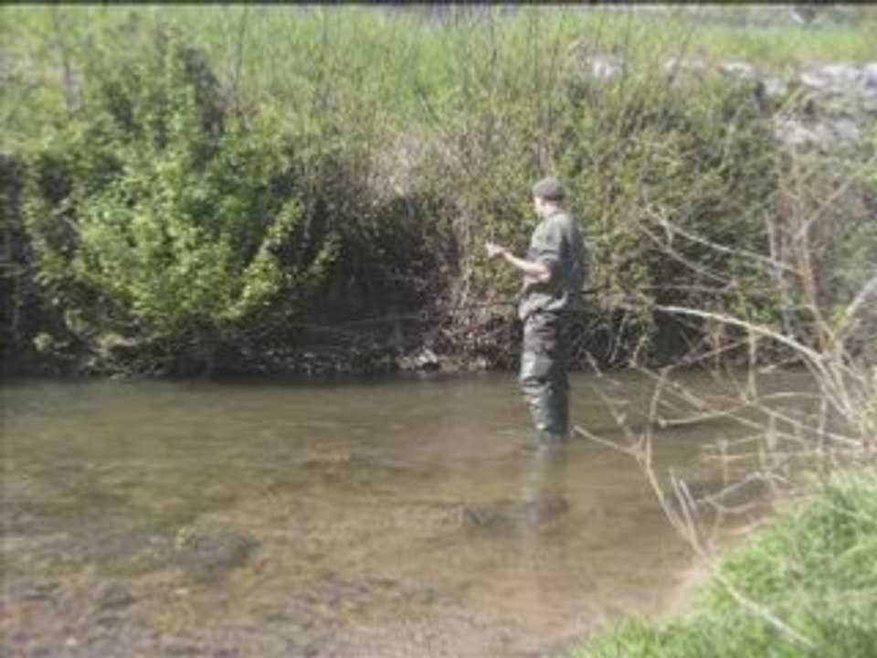 La truite de l'Ardière