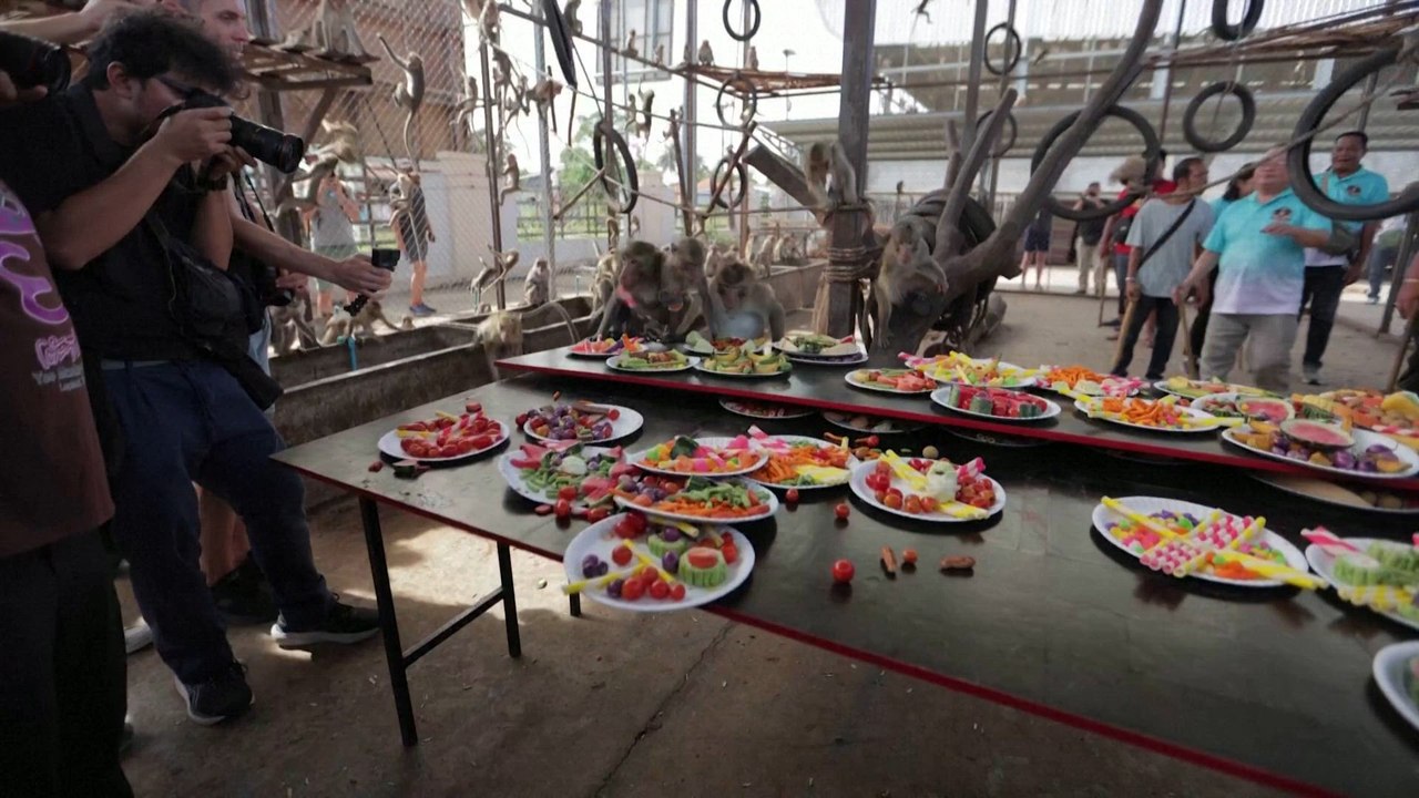 Tradicional banquete anual de los monos en Tailandia