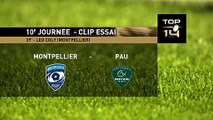 TOP 14 - Essai de Léo COLY (MHR) - Montpellier Hérault Rugby - Section Paloise
