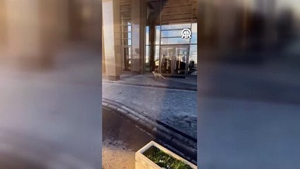 Ankara'da sitenin önünde yiyecek arayan tilki görüntülendi