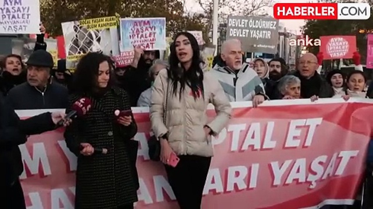 Hayvan Hakları Savunucuları AYM'ye Katliam Yasasının İptali İçin Eylem Düzenledi