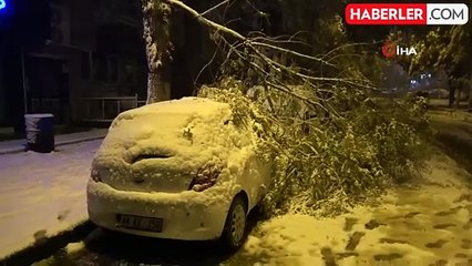 Malatya'da Yoğun Kar Ağaç Dallarını Kırdı, Araçlar Zarar Gördü
