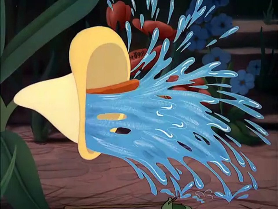 Inseto Aventureiro