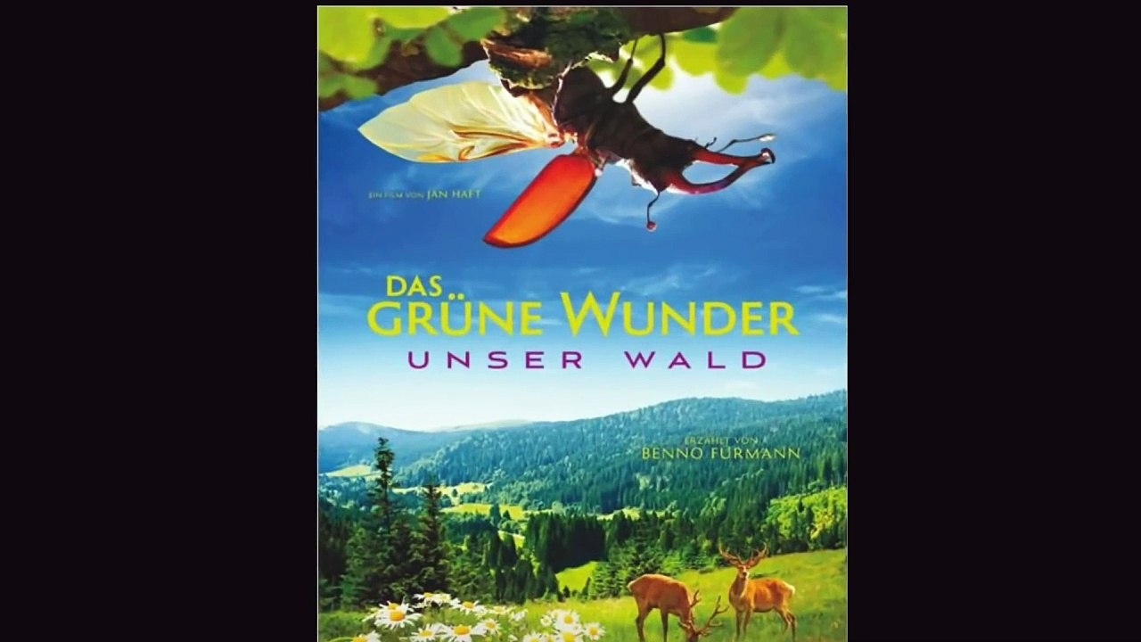 Das grüne Wunder - Unser Wald | movie | 2012 | Official Trailer