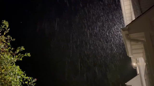 Rain on Nov. 10th. First rain since Sept. 27th. This is the longest drought in 130 years of local record keeping.