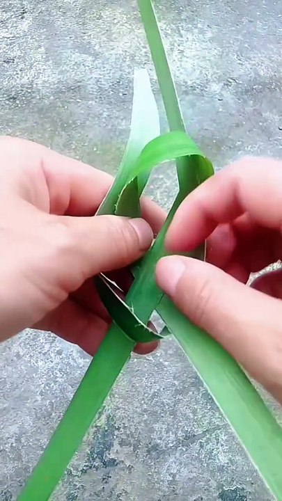 Diy
