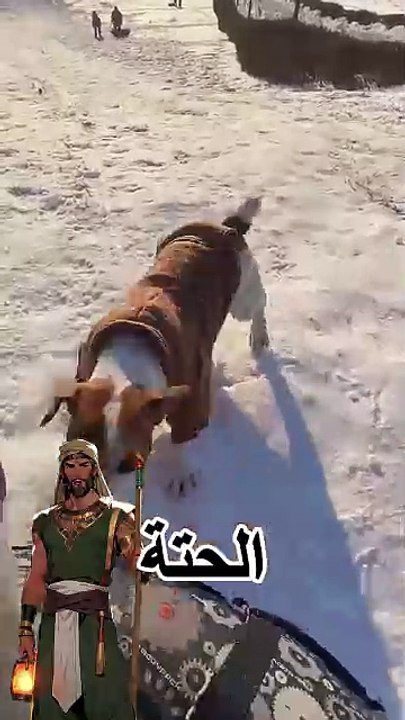 كلاب حريفه