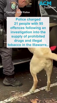 Illegal tobacco products worth $180,000 seized in Warrawong, NSW