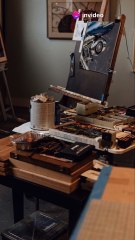 Artist vs Professional: The Ultimate Showdown!