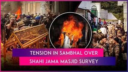 Sambhal Violence: 3 Killed In Clashes During Protest Over Shahi Jama Masjid Survey, Schools Shut