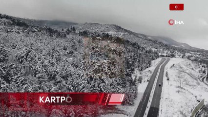 Kütahya'da çam ağaçları beyaza büründü