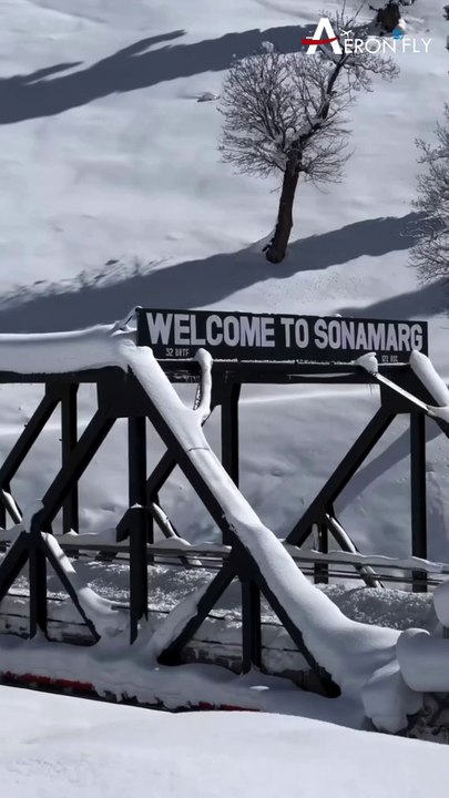 Welcome To Kashmir 😍🌨️❤️🌲 | AeronFly | Make Your Safar Suhana