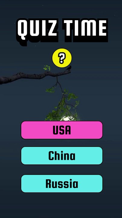 Quiz video Educational