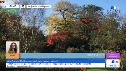 25/11/2024 - ICI Matin France Bleu Gascogne en vidéo