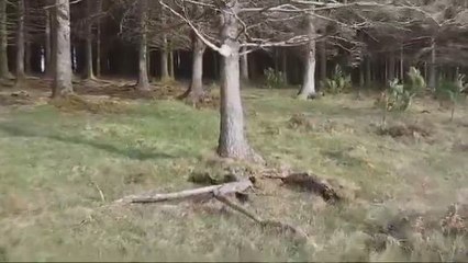 Comparan lo sucedido en Reino Unido con la DANA de Valencia y los comentarios llegan solos