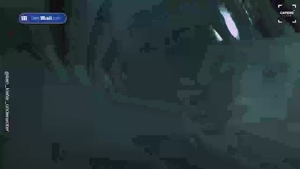 Esto es lo que se siente al ser devorado por un tiburón: un iphone capta el momento