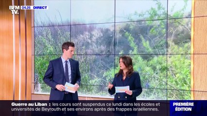Pauline Pioche sur BFM (25/11/2024)
