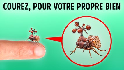 Moments D'alerte Rouge : Échappez-vous Avant Qu'il Ne Soit Trop Tard