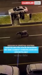 Görüntü Türkiye'den! Yolun ortasında donan at, kaskatı kesildi