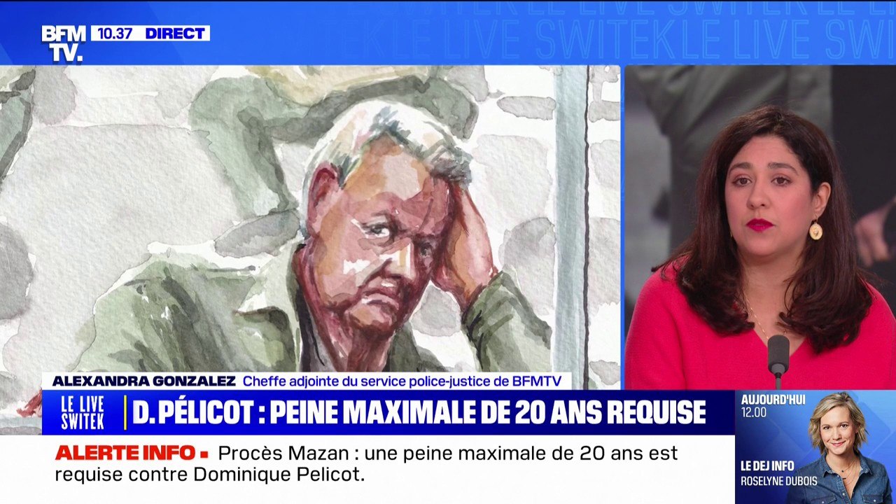 Procès des viols de Mazan: la peine maximale de 20 ans requise contre Dominique Pelicot