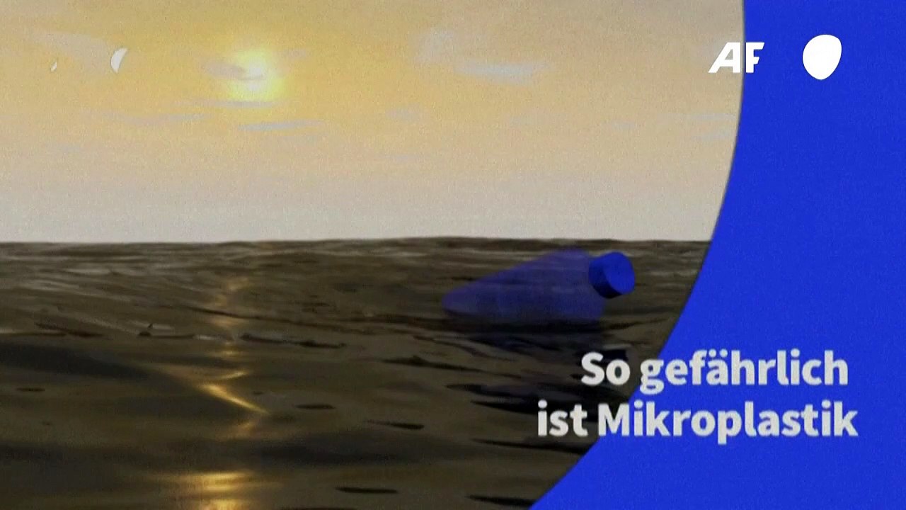 Videografik: So gefährlich ist Mikroplastik