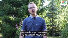 Wideo-poradnik nt. dziedziczenia dla mieszkańców Powiatu Pilskiego