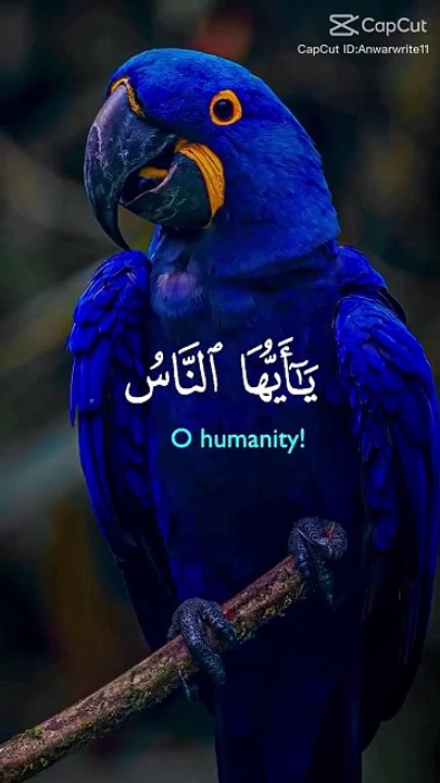 Telawat Quran