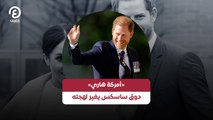 «أمركة هاري».. دوق ساسكس يغير لهجته