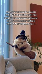 Un enfer les appels parfois