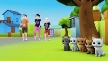 Billii ke Bachha Cute Cat Video, Cat Meowing! Kitten Video! cat Cartoon Video!