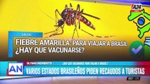 La importancia de la vacuna contra la fiebre amarilla para viajeros a Brasil