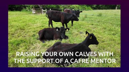 2025 ABP ANGUS YOUTH FINALISTS REVEALED