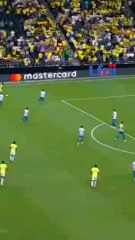 Vinicius Junior d'origine camerounaise, Francis Ngannou jubile