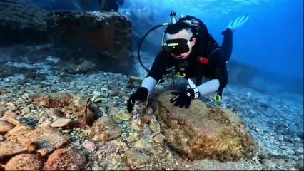 Torre Faro e rifiuti sott'acqua, marineria e volontari a braccetto