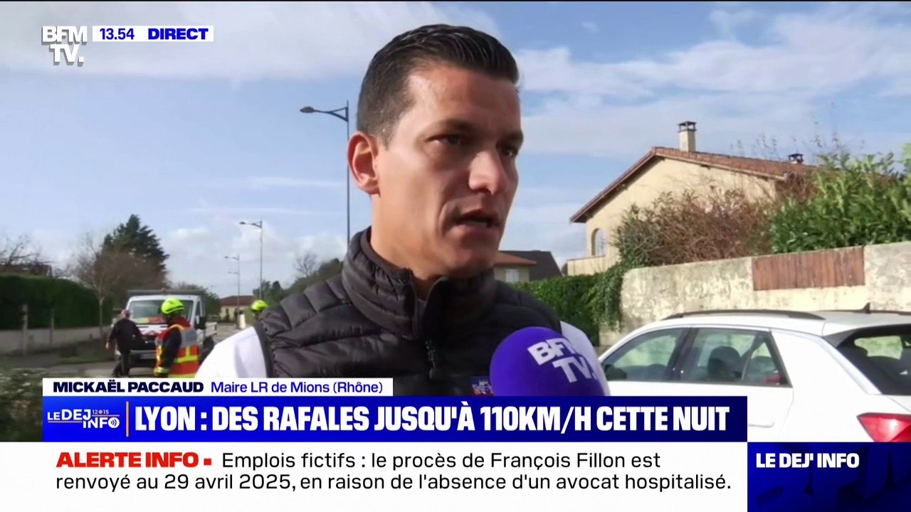 Vents violents: "Une trentaine d'interventions sur la commune" de Mions dans le Rhône, annonce le maire