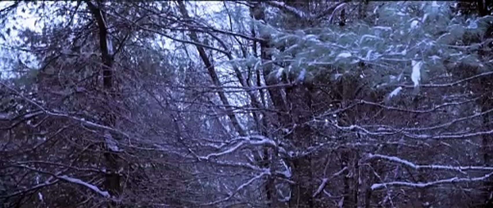 Bone Cold - Ghost Sniper Trailer OV